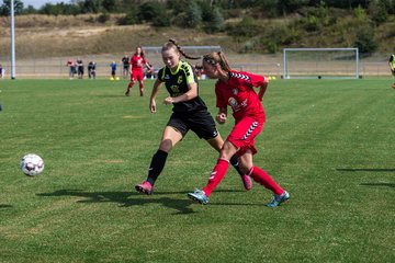 Bild 102 - Oberliga Saisonstart
